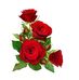 Dora Callejas - Facebook