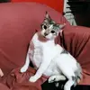doracallejas235 - @doracallejas235 - TikTok