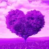 Dora ♥️ - @dora.giron - TikTok