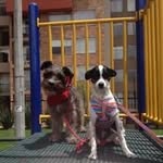 Dora Calvo - @calvo4158 - Instagram