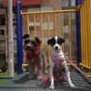 Dora Calvo - @doracalvo3 - TikTok
