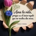 Dora Camargo - @doracr121 - Instagram