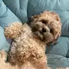 Dora  Camposano - @doracamp7 - TikTok