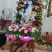 Dora Cañas - Facebook
