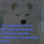 dora cano - @doracano4812 - Instagram