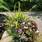 Dora Cantrell - Facebook