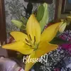 doracantu215 - @doracantu215 - TikTok