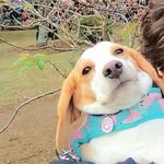Dora - @dora_capella - Instagram