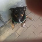 Dora Carbone - Facebook