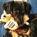 Dora Cifarelli - Facebook