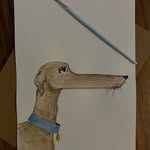 Dora Carey - @bikemzenan - Instagram