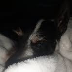 Dora Alias Carine - Facebook