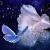Dora Carlin - Facebook