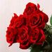 Dora Carmona - Facebook