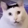 doracarneiro336 - @doracarneiro336 - TikTok