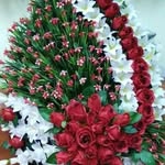 Dora Caro - @dora.caro.9404 - Instagram