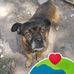 Dora Carranza - Facebook