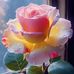 Dora Carrasco - Facebook