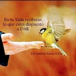 Dora Cartagena - @dora.cartagena.581 - Instagram