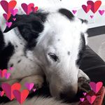 Dorothy Cartwright - @bananabob82 - Instagram