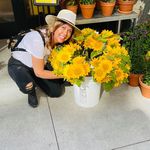 Dora Caruso - @dora.caruso.589 - Instagram