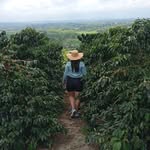 Dora Lilia Medina Celis - @dora.medina.182 - Instagram