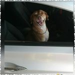 Dora Chavarria - @pielcanela1520 - Instagram