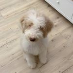 Dora Chou - @dora690913 - Instagram
