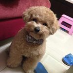 Dora Chou - @dora.chou.148 - Instagram