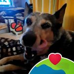 Dorthy Coffman - @dorthycoffman - Instagram