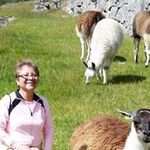 Dora Cook - @dorarosacook - Instagram