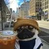 Дарья - @dora_cook - TikTok