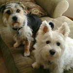 Dora Costello - @doracostello - Instagram
