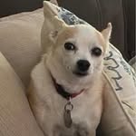 Doreen Slack Costello - @reenc64 - Instagram