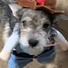 doradaniel5 - @doradaniel5 - TikTok