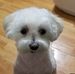 Dora Daniels - Facebook