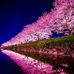 Dora Dawson - Facebook
