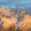doradouglas - @mrs.brown000 - TikTok