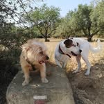 Dora & Eddy - @doreddy - Instagram