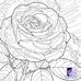 Dora Edmonds - Facebook