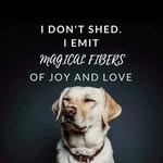 Dora Epstein - @doraepstein1 - Instagram