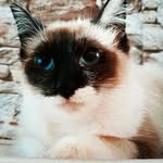 Dora Escobar - @doraescobar323 - Instagram