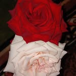 Dora Elia Espinoza Andrade - @doraespinoza1111 - Instagram
