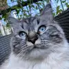 Dora Esposito571 - @diegosuperstar_ - TikTok