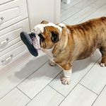 Dora Esposito - @dora.esposito.3 - Instagram