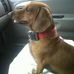 Dora Everett - Facebook