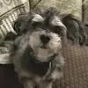 Dora Fabian - @dorafabian - TikTok