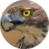 dora fair - @dora.fair2 - TikTok