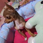 Dora Falcon - @dorafalcon3 - Instagram