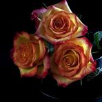 Dora Falcon - Facebook